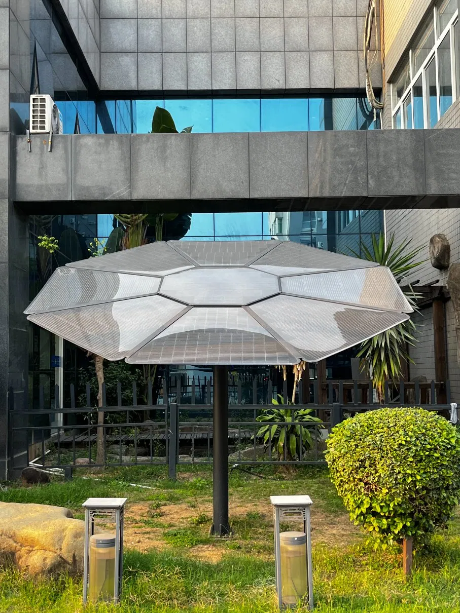 1kw MPPT Changer Solar Panel Energy System off Grid Home with Battery Backup