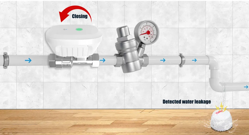 Smart WiFi Water Valve