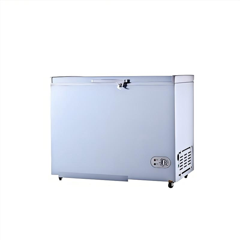 CE, Solar-Powered 12V/24V DC, Bd/Bc 158 L Freezer, Lowest Cooling -25 Degrees, Used in Motor House, Car, Home. Outdoors, Boat