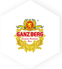 Cooperation brand partner logo 13