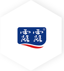 Cooperation brand partner logo 2