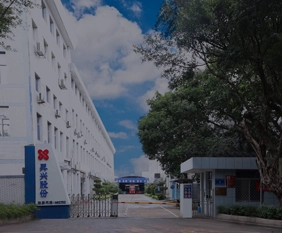 Sunrise Group metal packaging manufacturing facility - production line overview