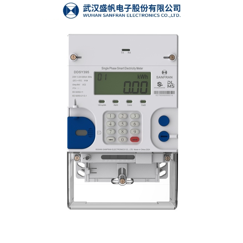 Single Phase Smart Prepaid Keypad Energy Meter, Dlms, 5 (100) a, IP54, 1kg