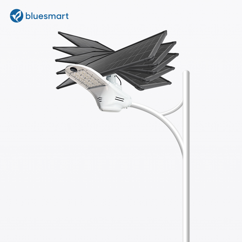 100W Outdoor High Power All in One Intergrated Solar LED Customized Street Lighting for Farm Public Road