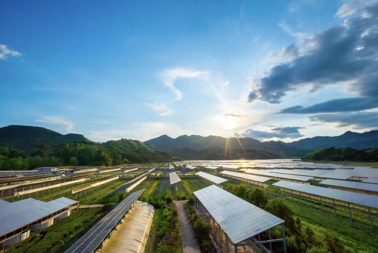 Solar Cable Application Banner