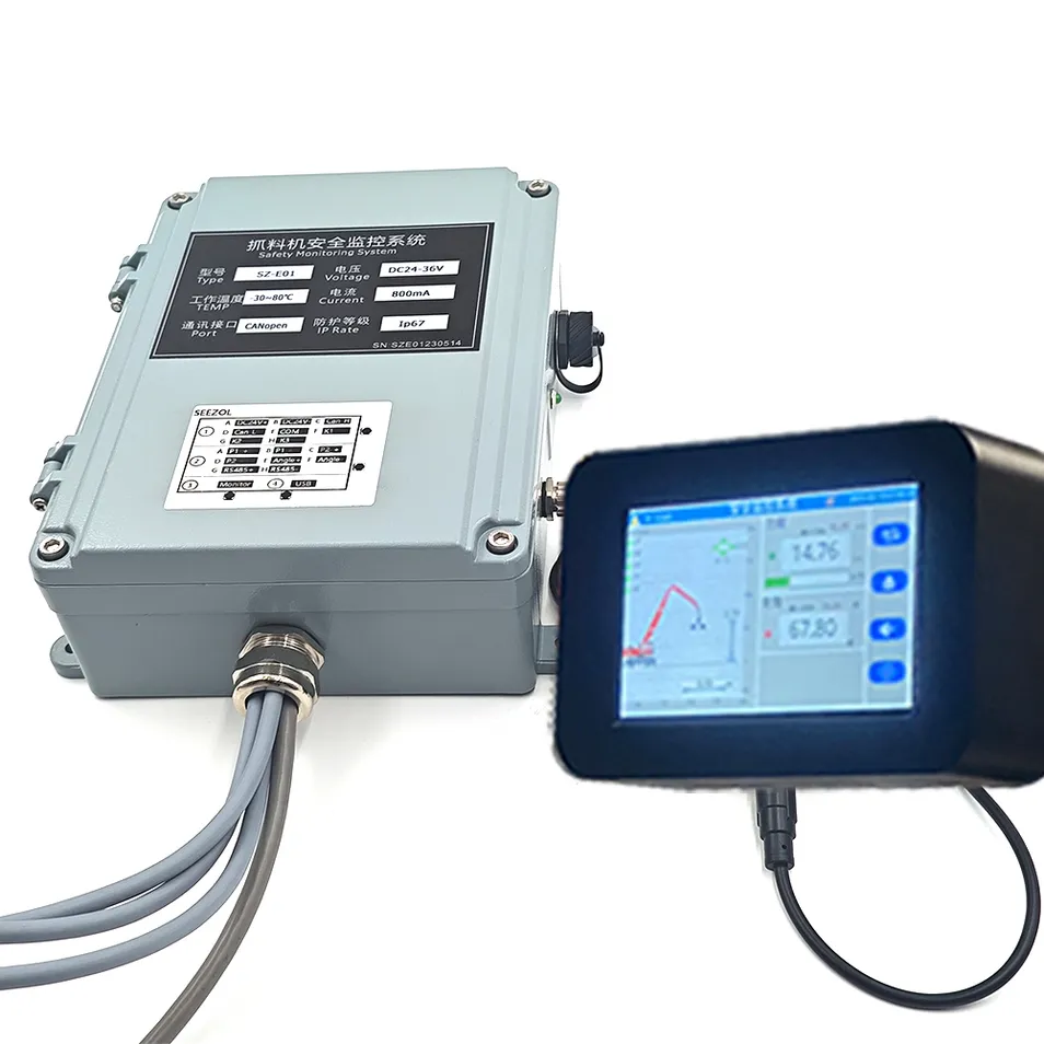 Safety Monitoring System View 1