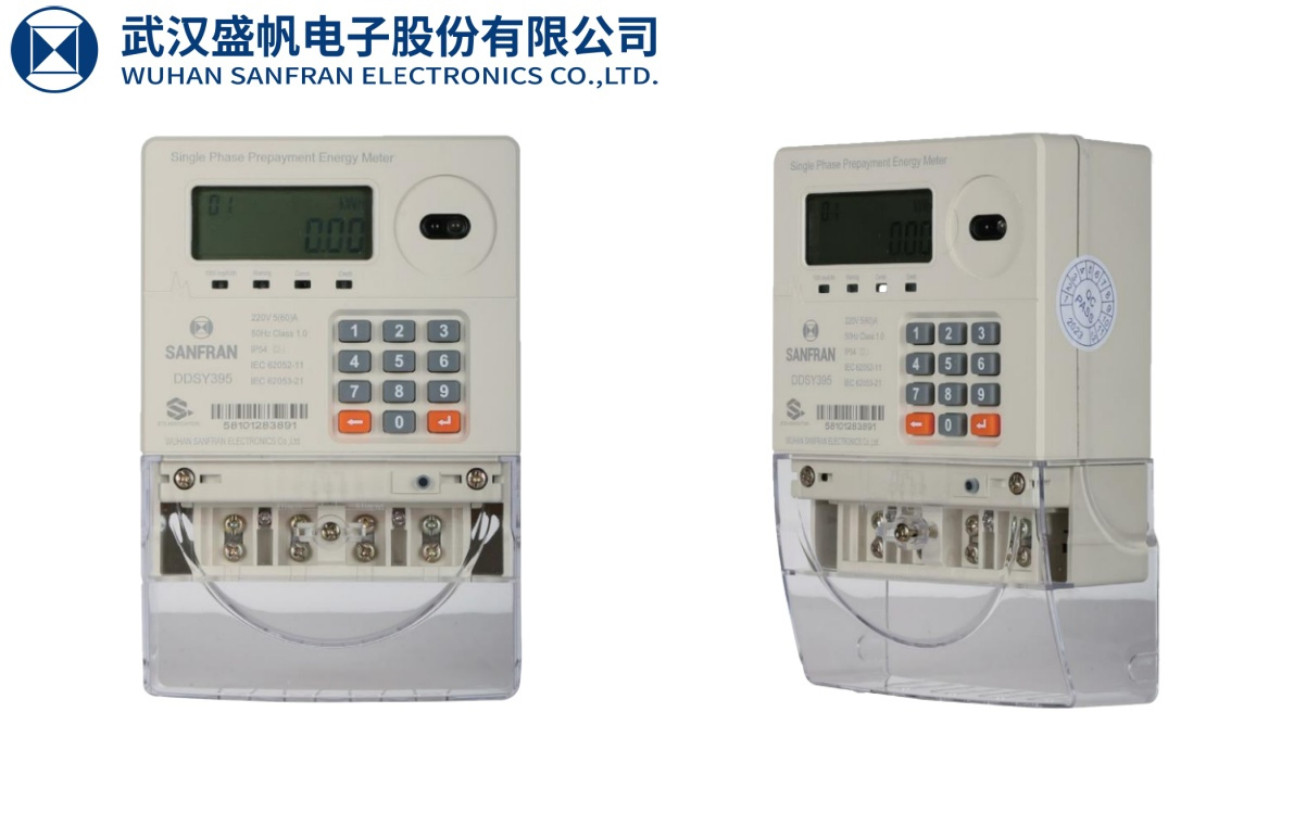Single Phase Smart Prepaid Keypad Energy Meter, Dlms, 5 (100) a, IP54, 1kg