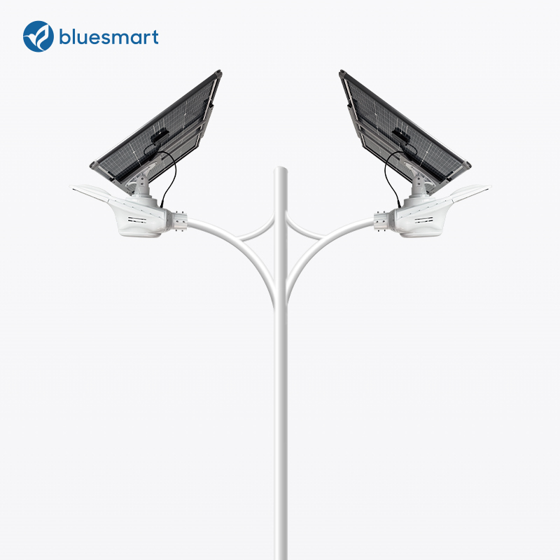 100W Outdoor High Power All in One Intergrated Solar LED Customized Street Lighting for Farm Public Road