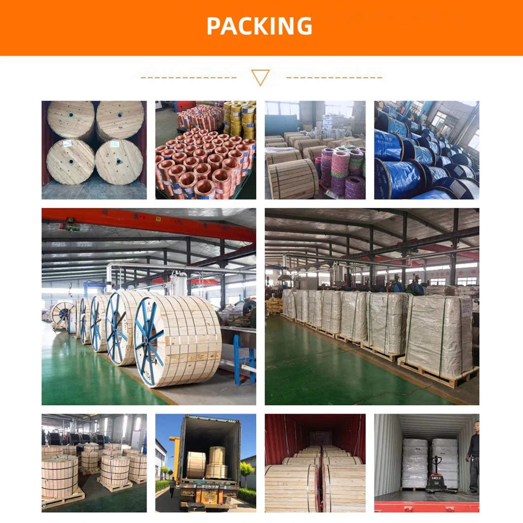 CE ISO Certification