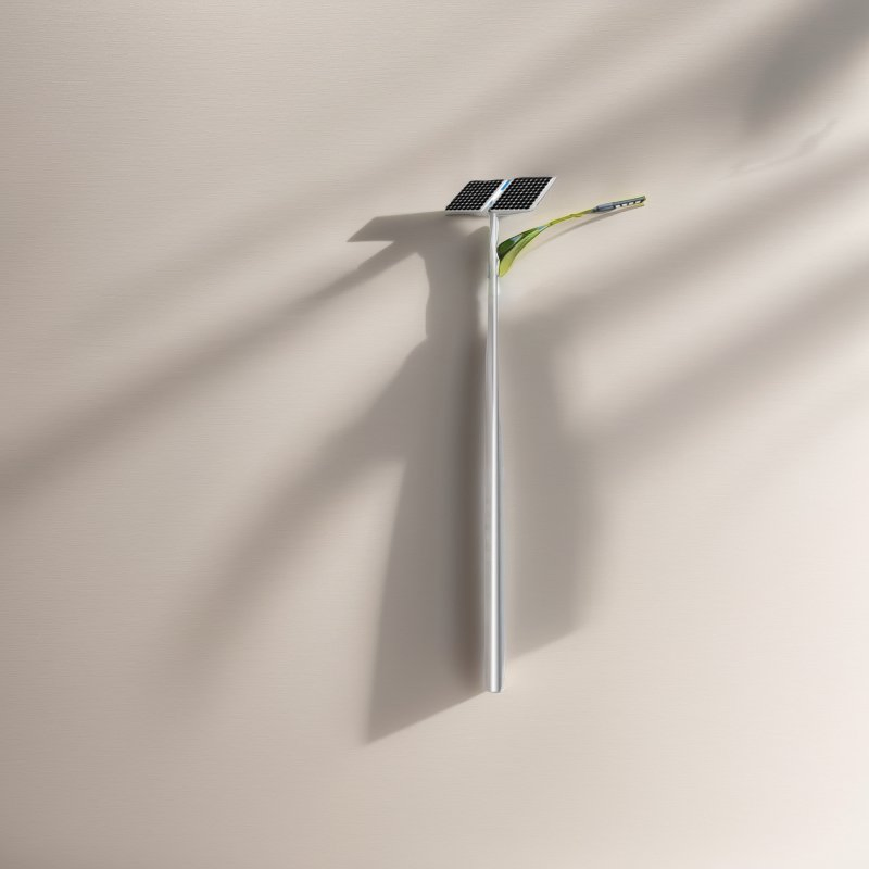 Energy Efficient Solar Street Lighting for Outdoor Garden