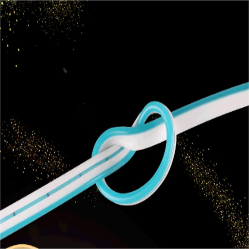 Processing Custom LED Low Voltage Flexible Neon Monochrome Lamp Set Billboard Modeling Lighting