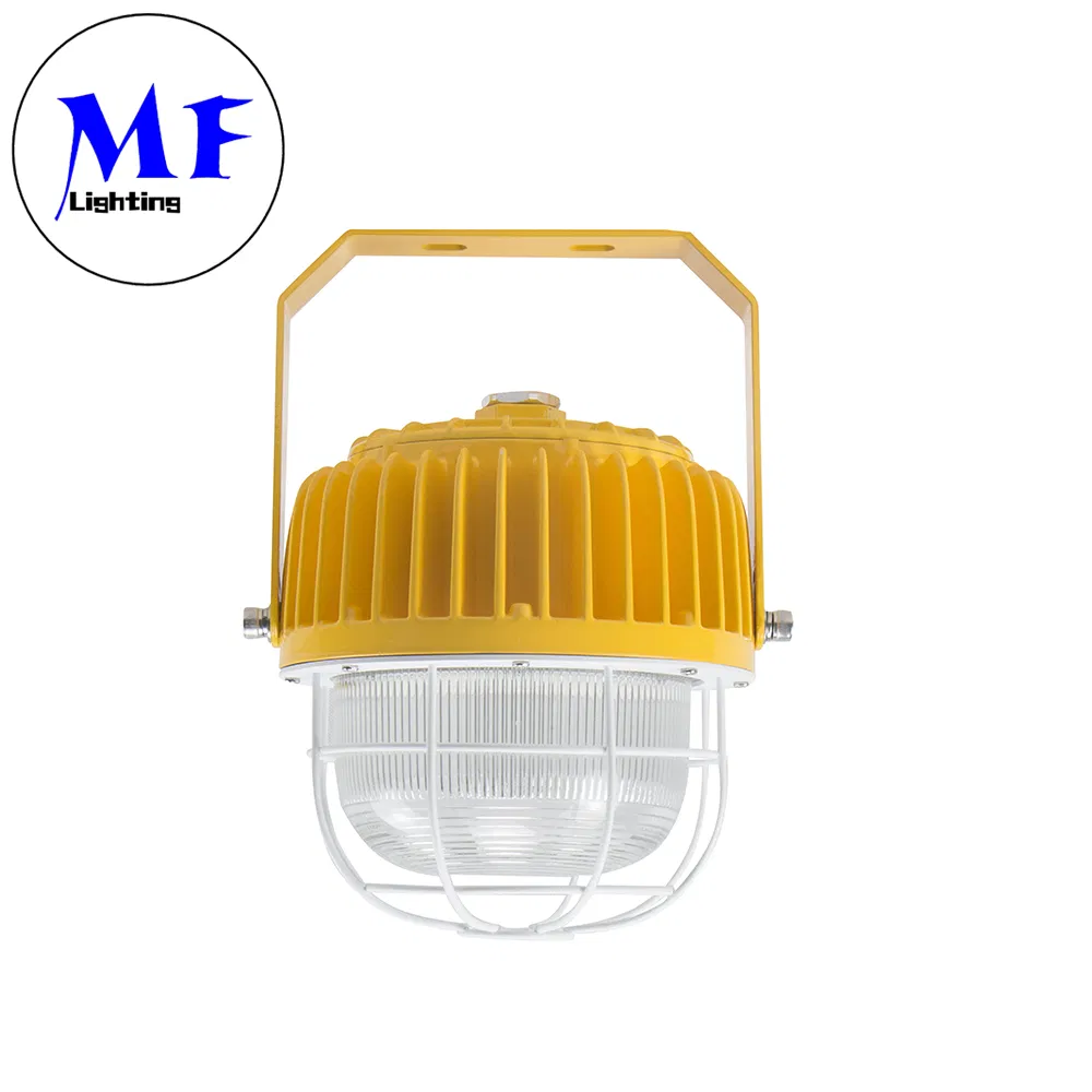 40W 60W 80W 100W 200W Atex Certificate Oil and Gasoline Harsh Environment Explosive Zone Wall Ceiling Hanging LED Explosion Proof Light