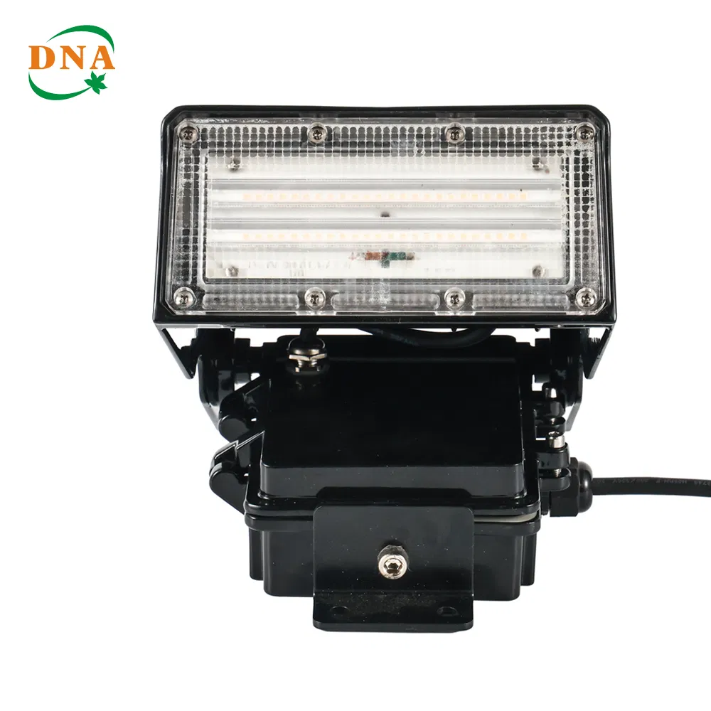 High-Performance LED Wall Pack Light for Commercial Spaces