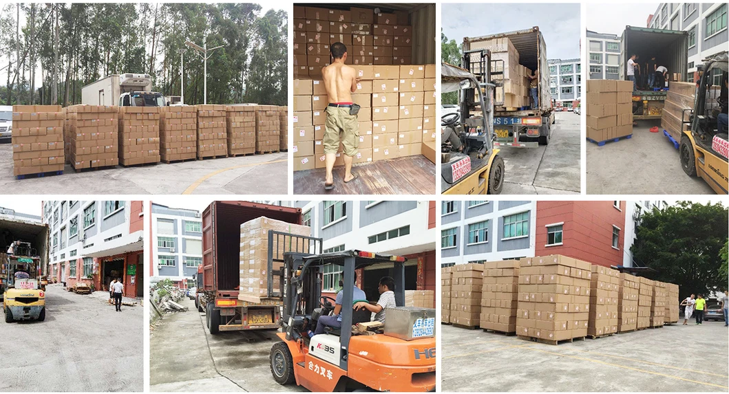 Packaging and Logistics