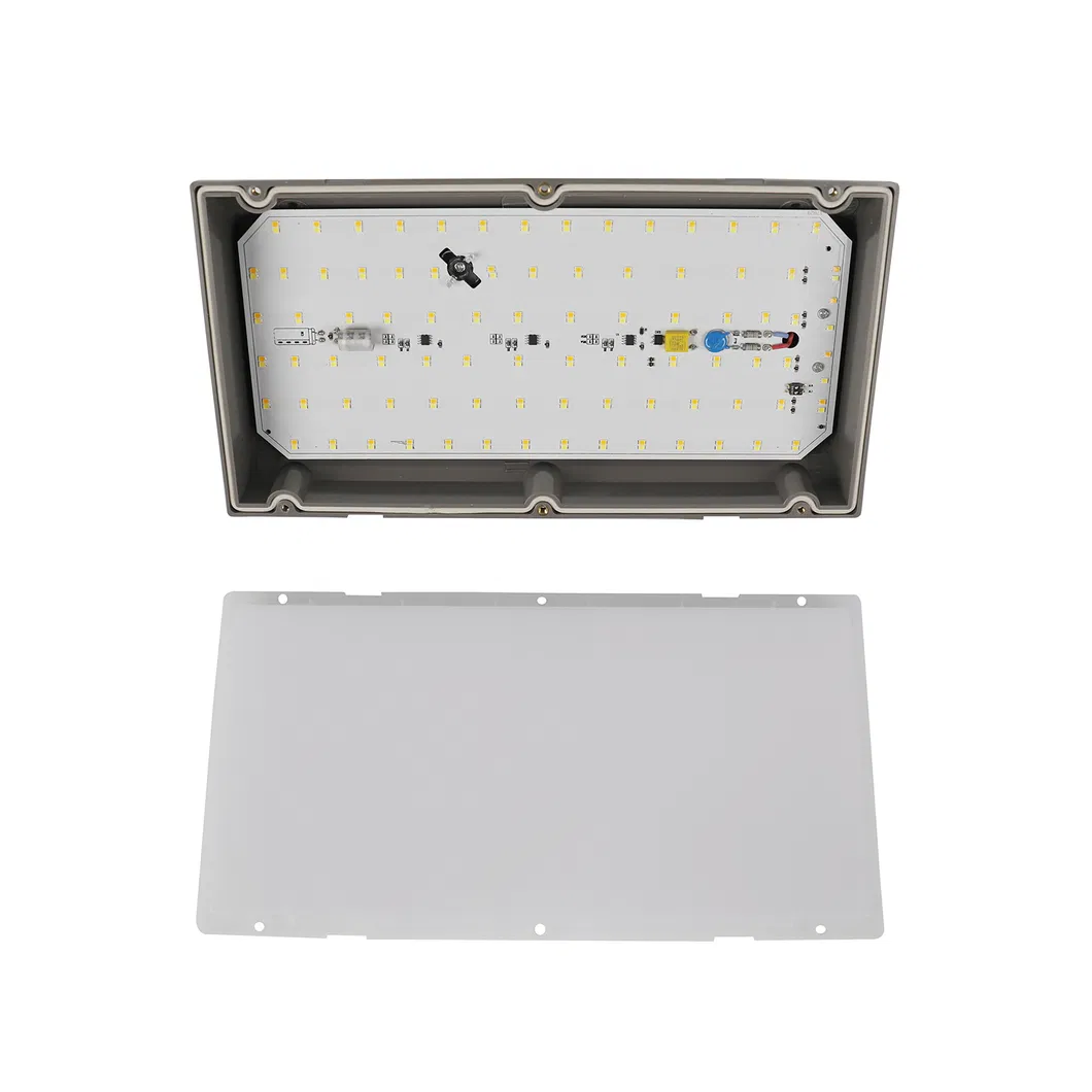 Triangle LED Wall Pack Light 2