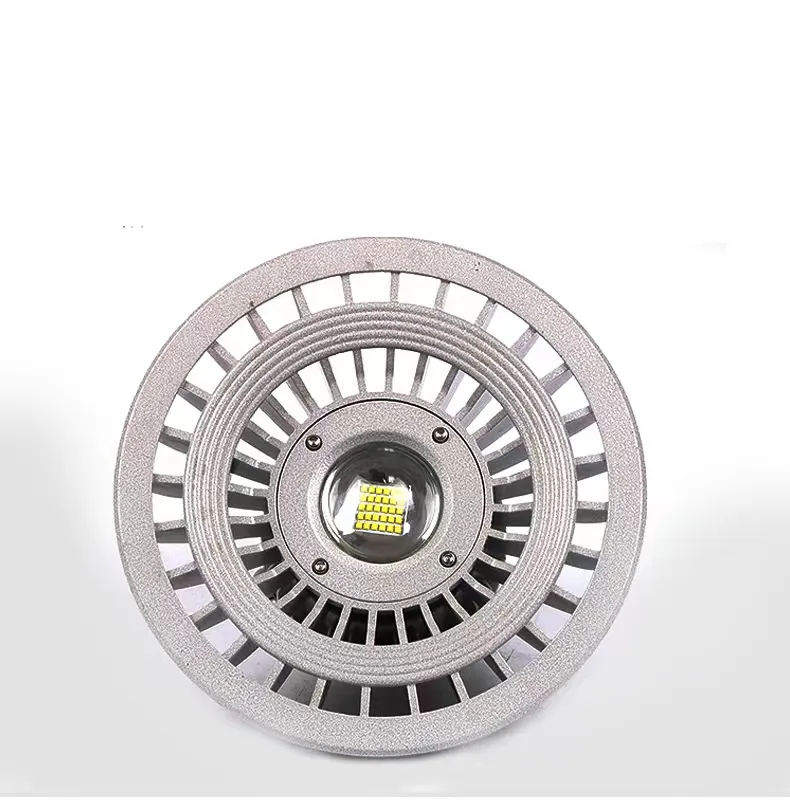 Explosion Proof Light Detail 4