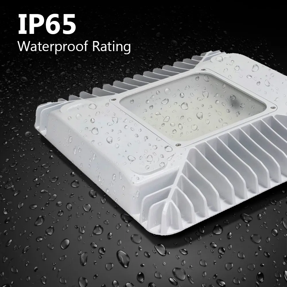 LED Canopy Light View 1