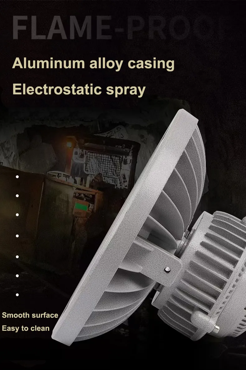 Explosion Proof Light 2