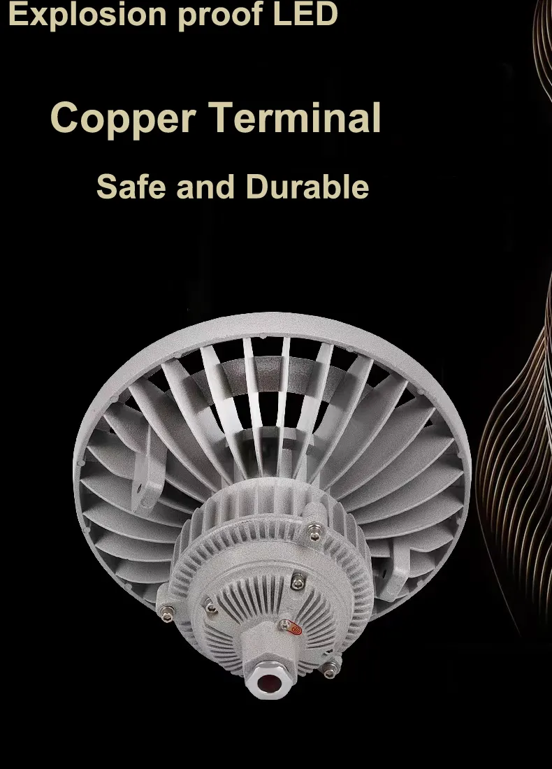 Explosion Proof Light 1