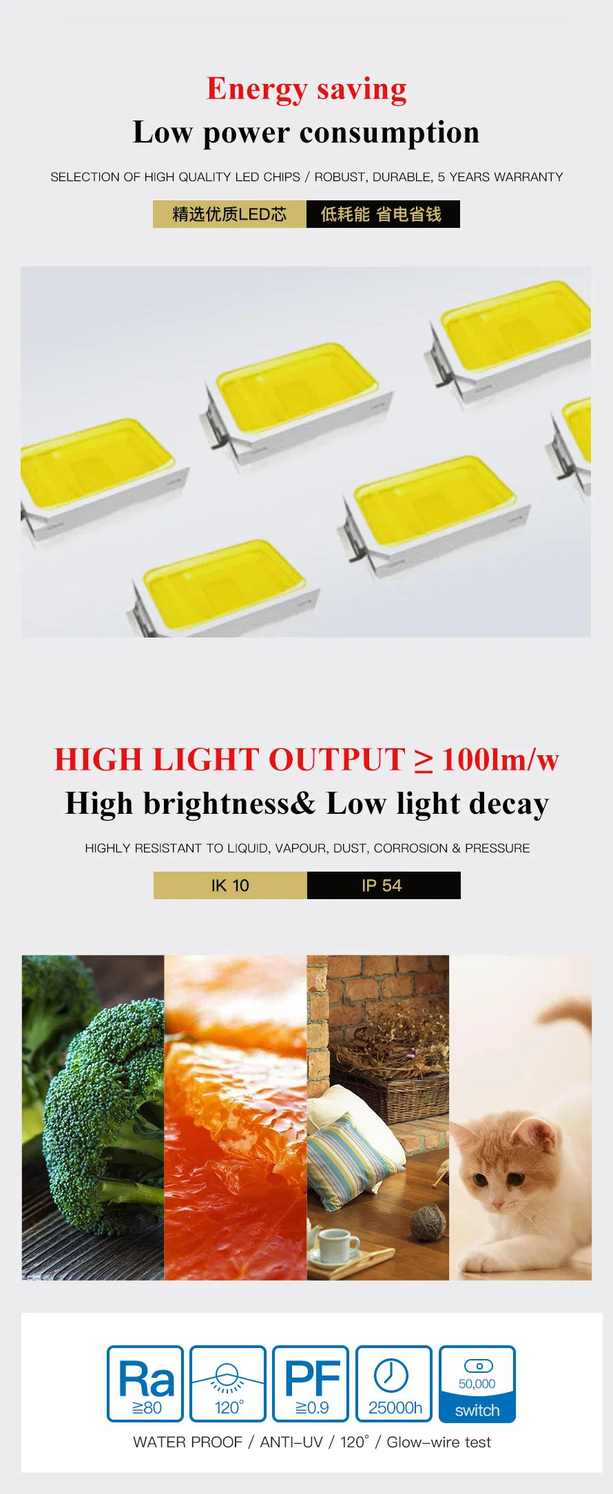 LED Wall Pack Bulkhead Light View 3