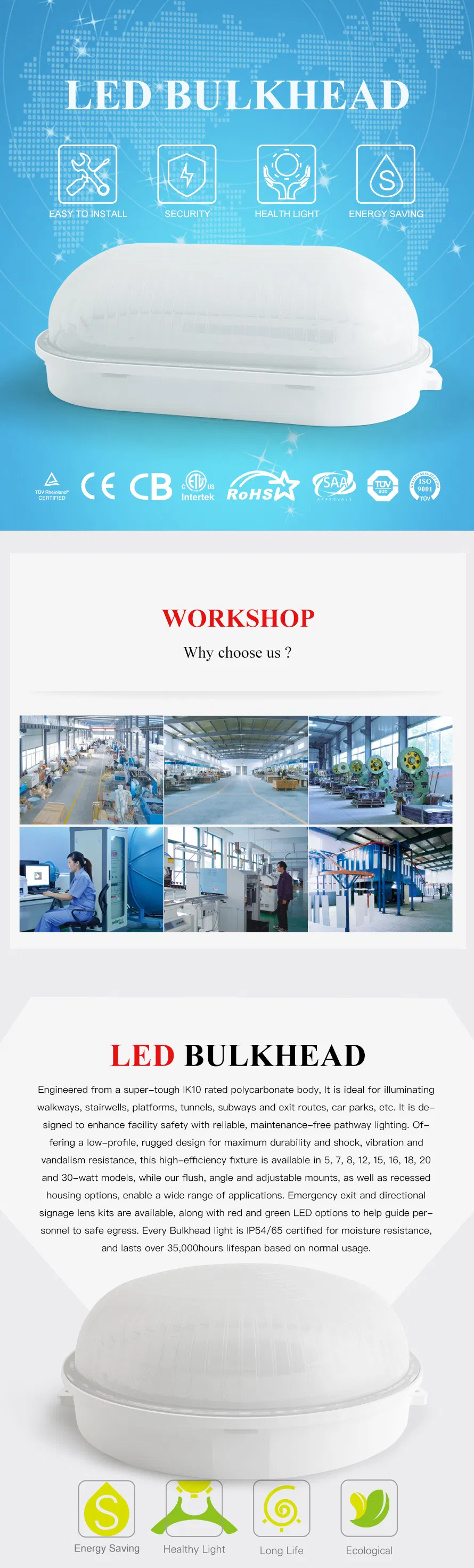 LED Wall Pack Bulkhead Light View 2