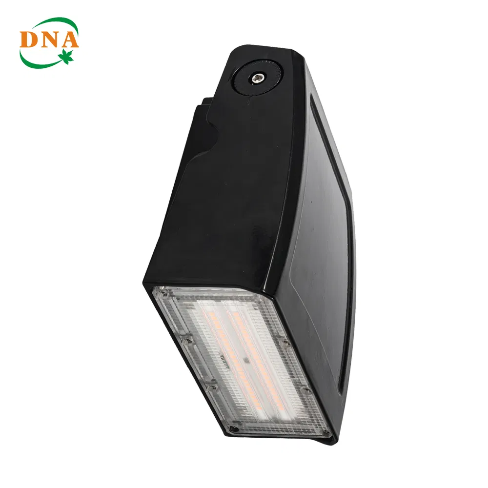High-Performance LED Wall Pack Light for Commercial Spaces
