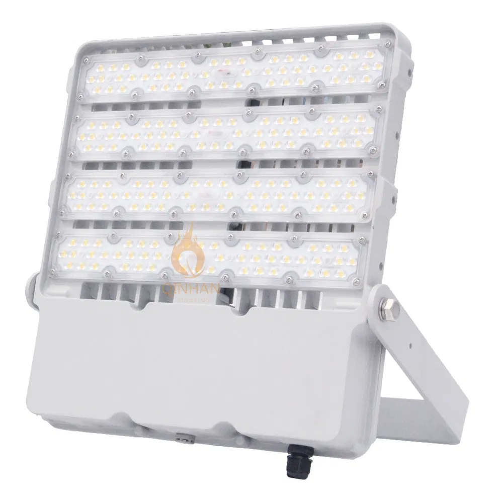 Waterproof IP66 200W High Power Floodlight LED for Outdoor Square Building Billboard Tunnel Lighting Work Voltage AC100V 230V 277V 305V Inventronics Driver