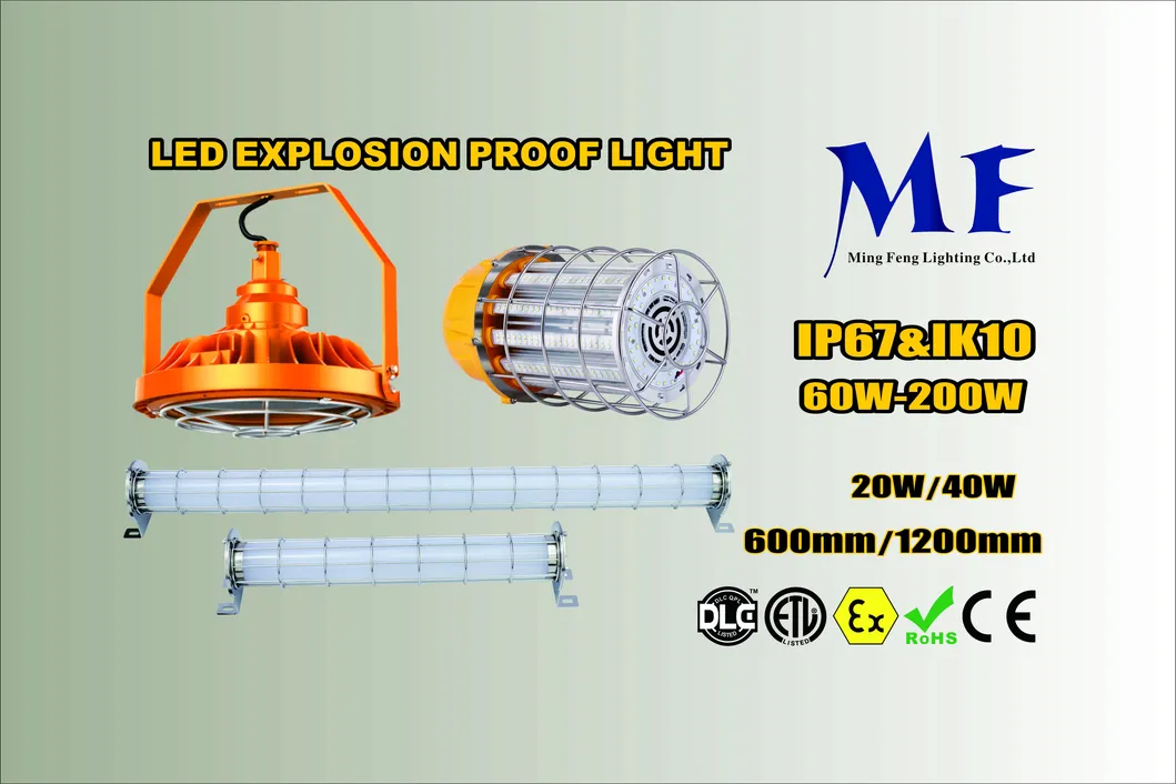 Explosion Proof Light Detailed View