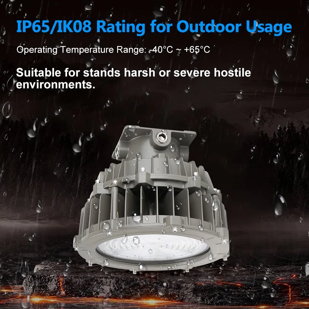 5 Years Warranty UL 20kv Surge Suppression IP65 200W LED Explosion-Proof Light