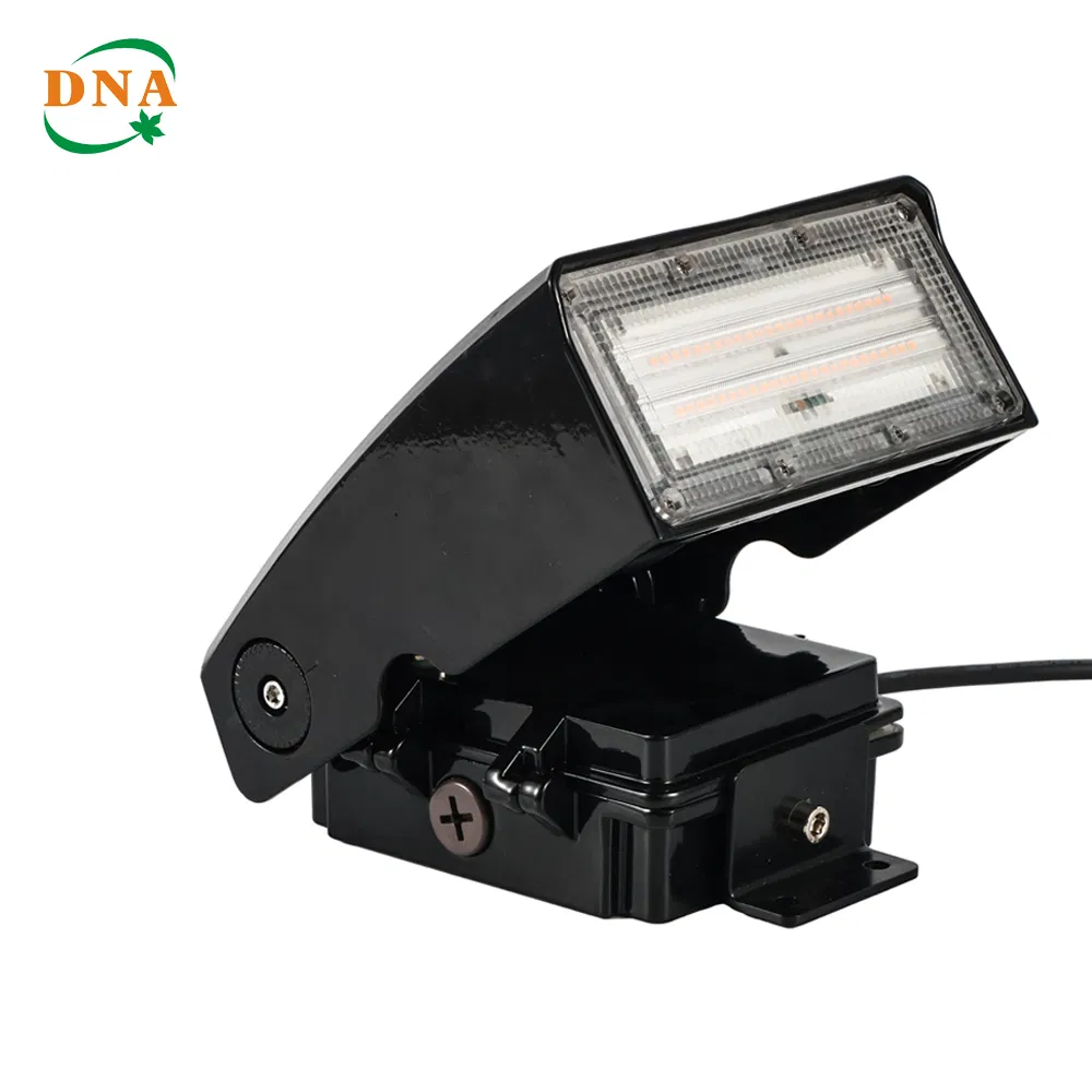 High-Performance LED Wall Pack Light for Commercial Spaces