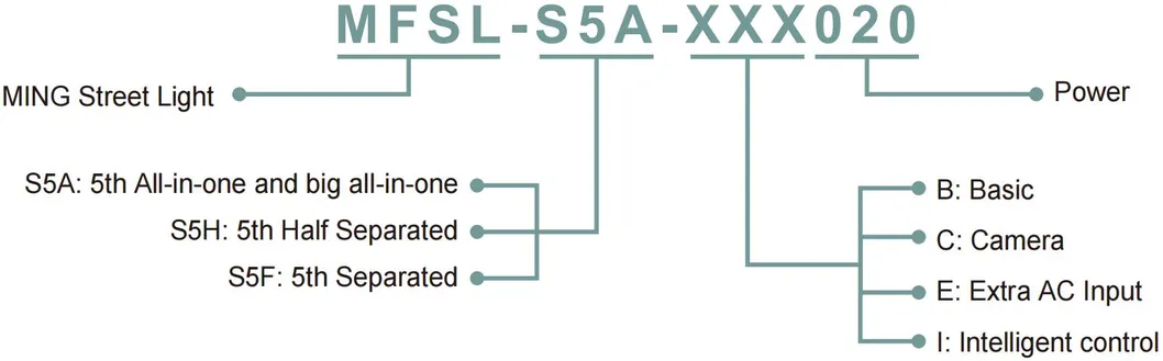 Distribution Curve 2