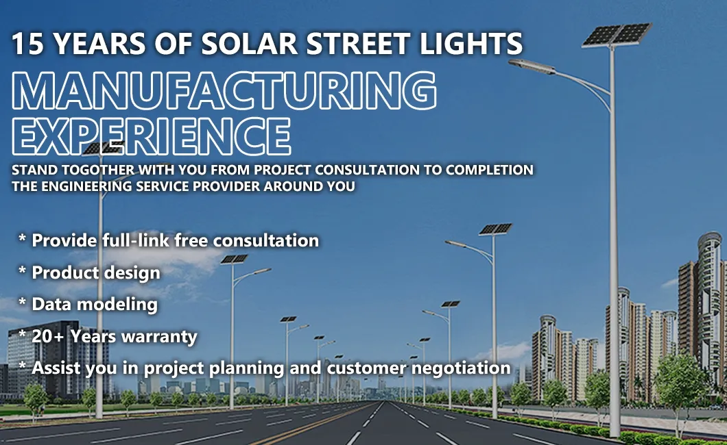 Integrated Solar LED Street Light