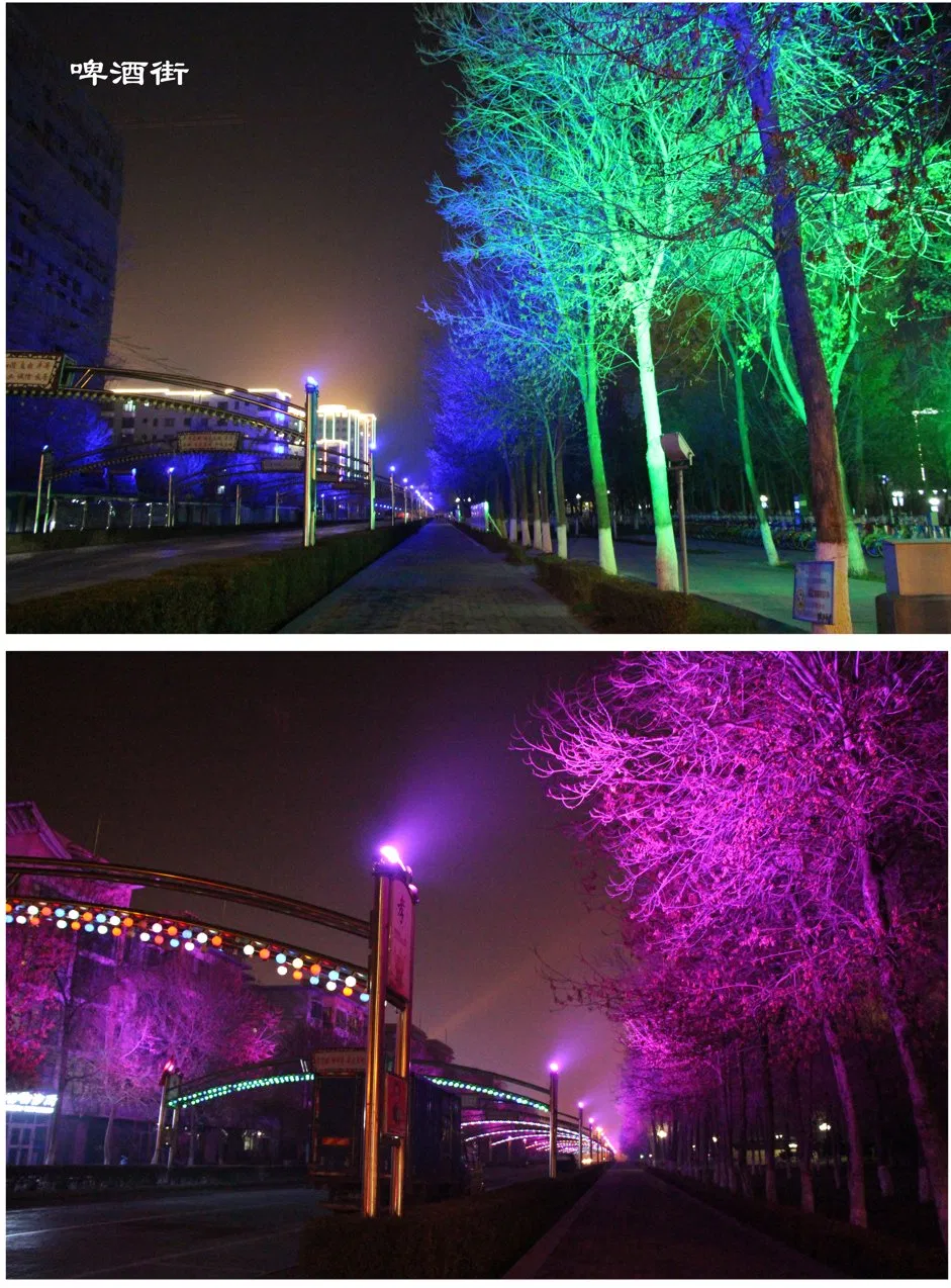 Installation Details