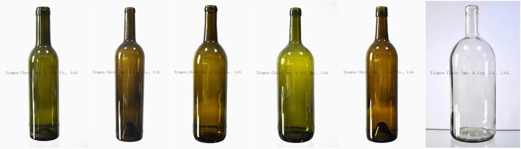 Glass Wine Bottle Collection