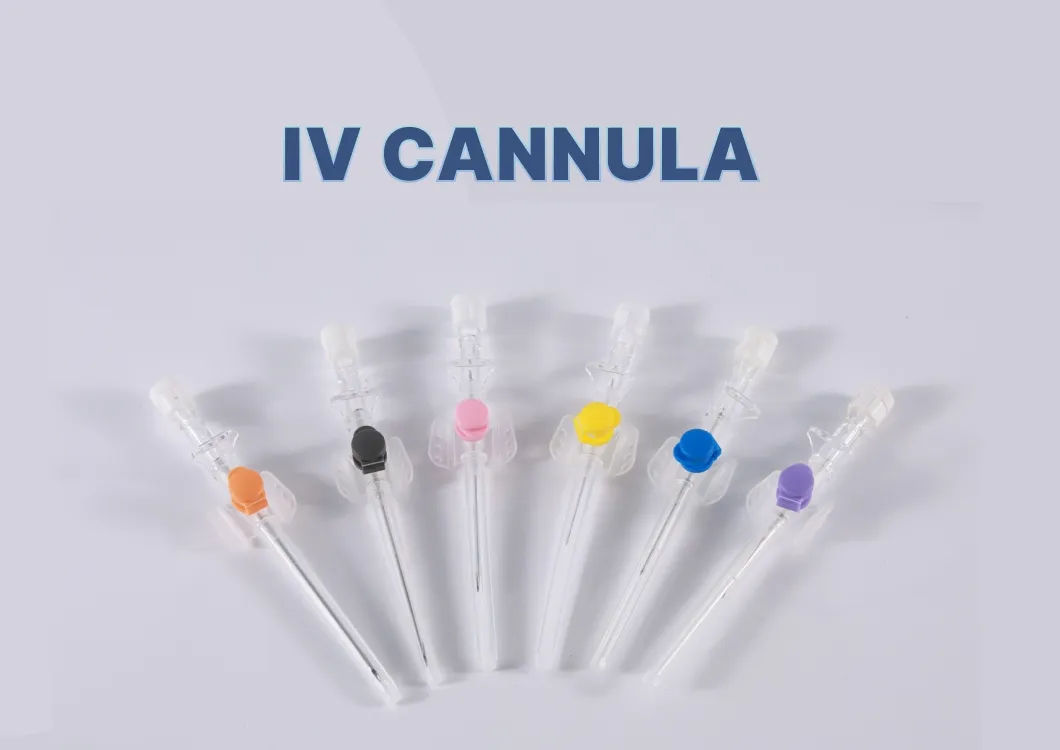 IV Cannula Detail 1