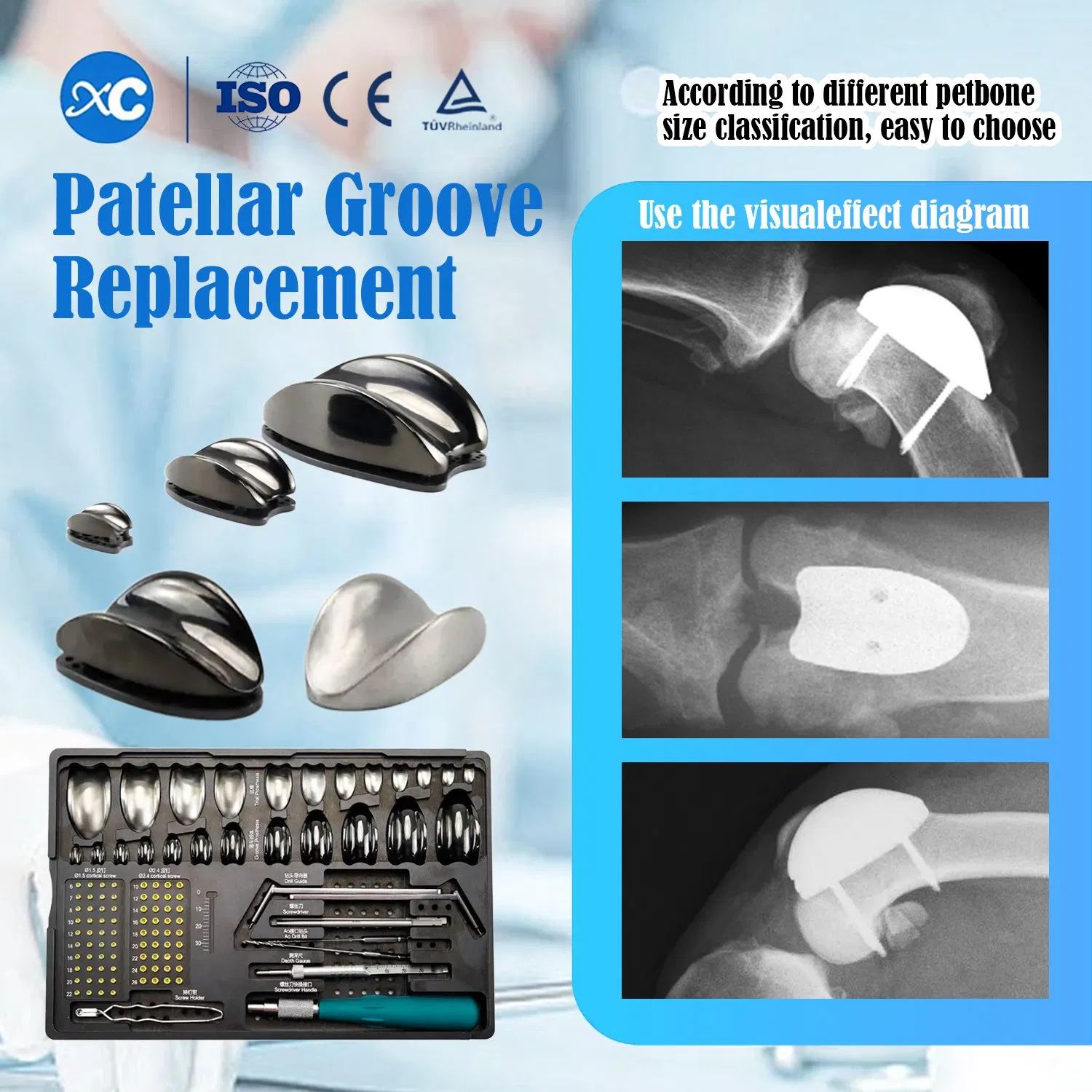Veterinary Pgr Instrument Set: Canine Patellar Trochlear Groove Surgery Implants Kit