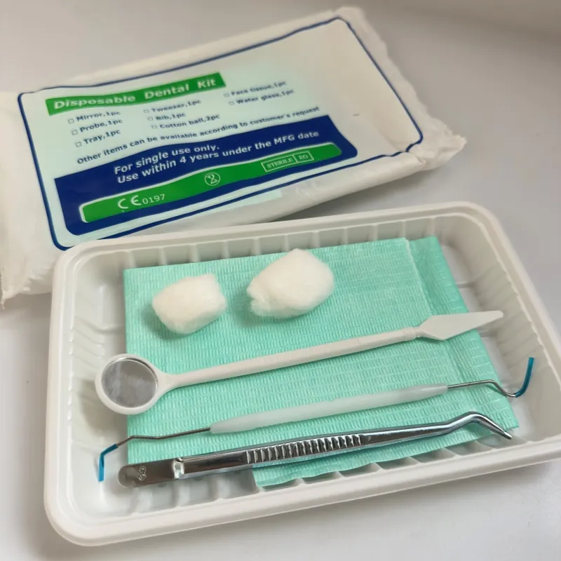 Dental Instrument Kit Detail 2