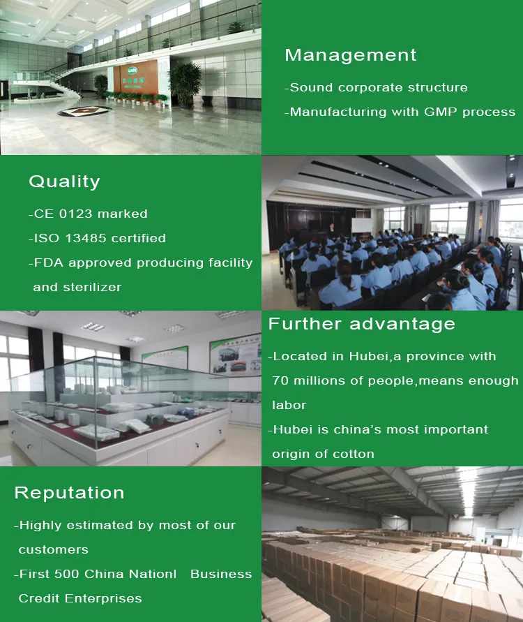 Manufacturing Process 4