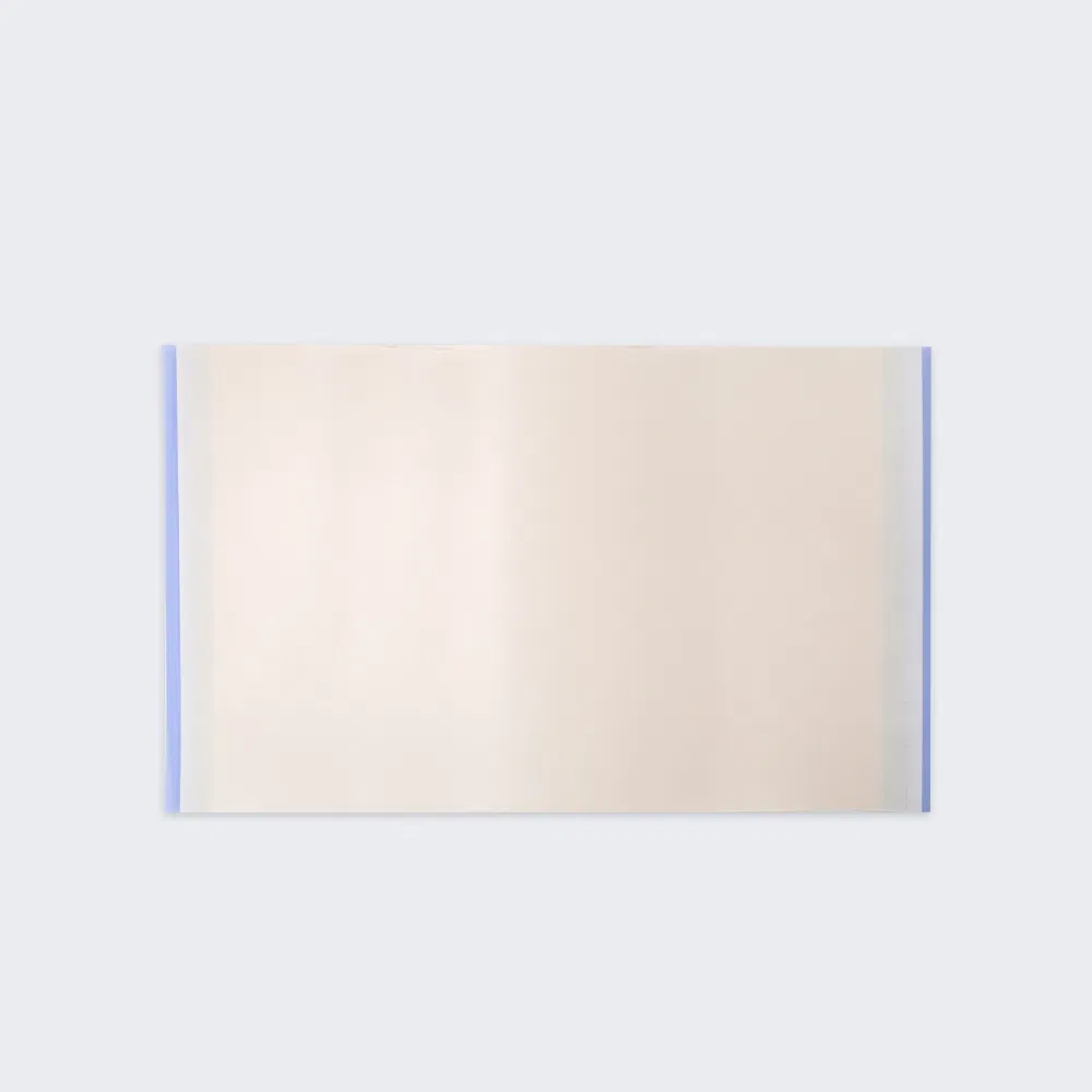 Surgical Dressing Detail 5