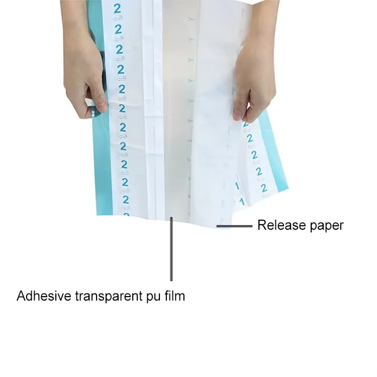 Transparent Dressing