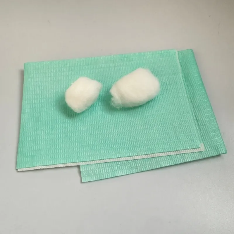 Dental Instrument Kit Detail 6