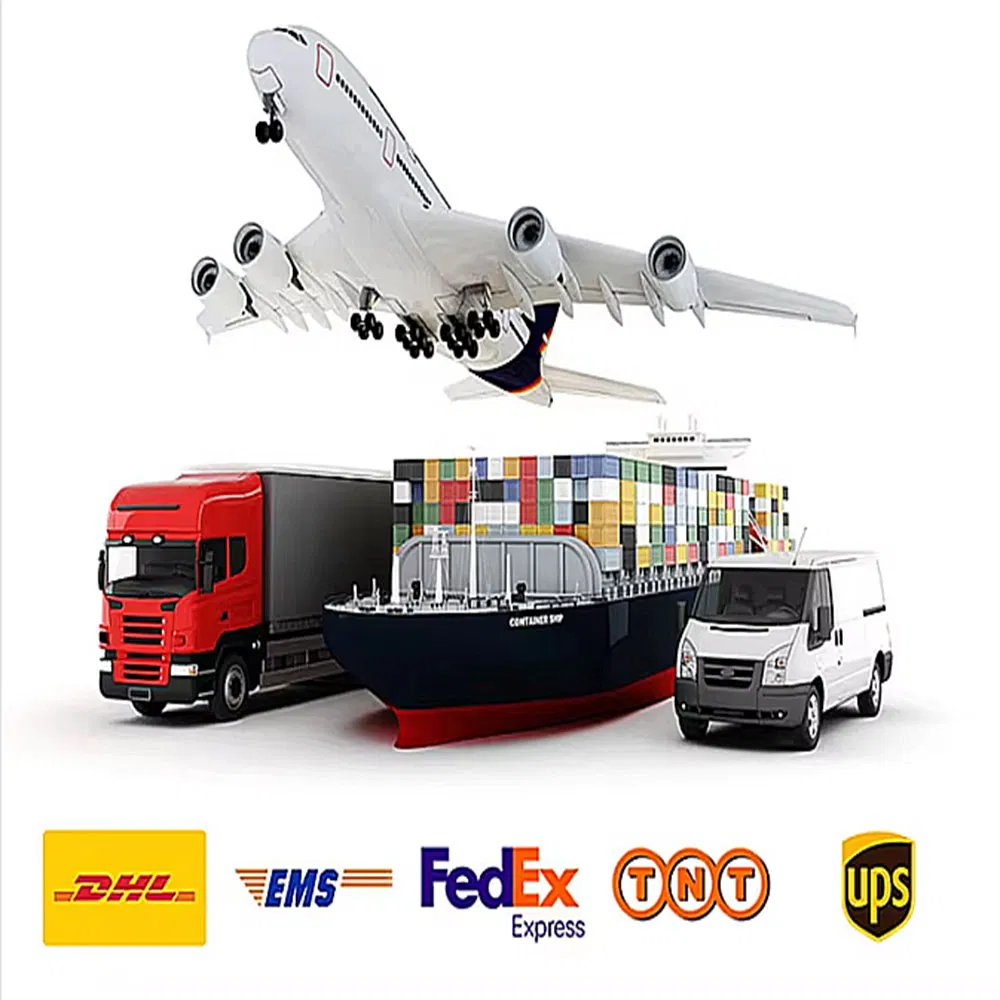 Shipping Logistics