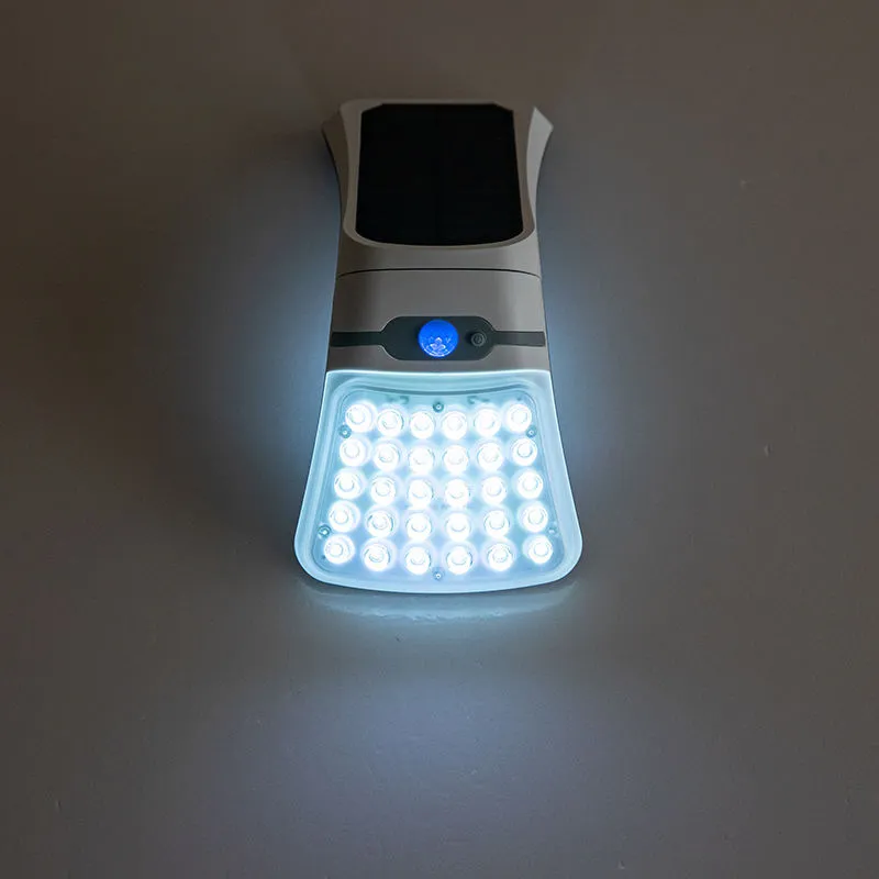 Security Wall Light