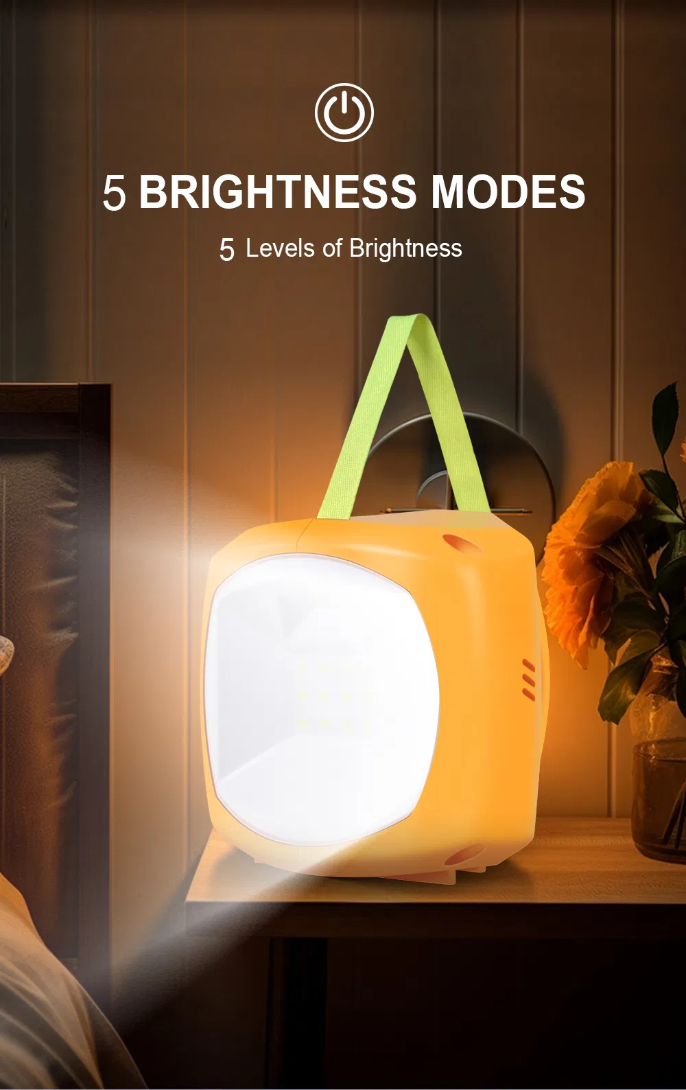 Solar Lantern View 4