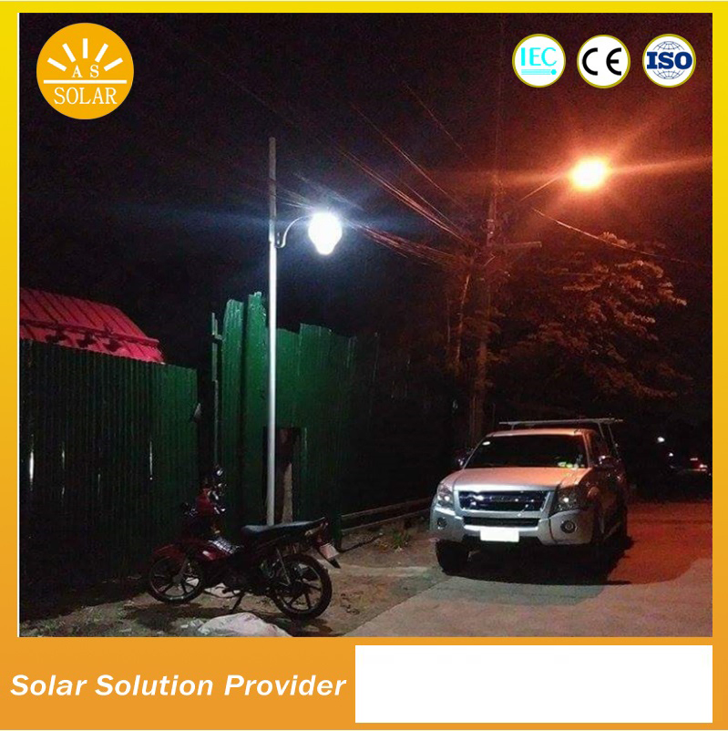 4m Pole 10W Decorative Solar Garden Light Solar Peach Light for Garden Yard