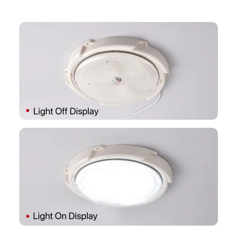 Solar Ceiling Light View