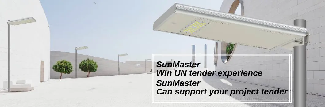 Solar Street Light Overview
