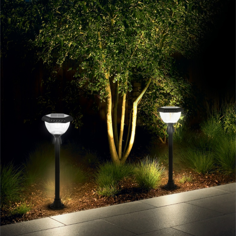 Eco-Friendly Solar LED Path Lights for Garden Decoration