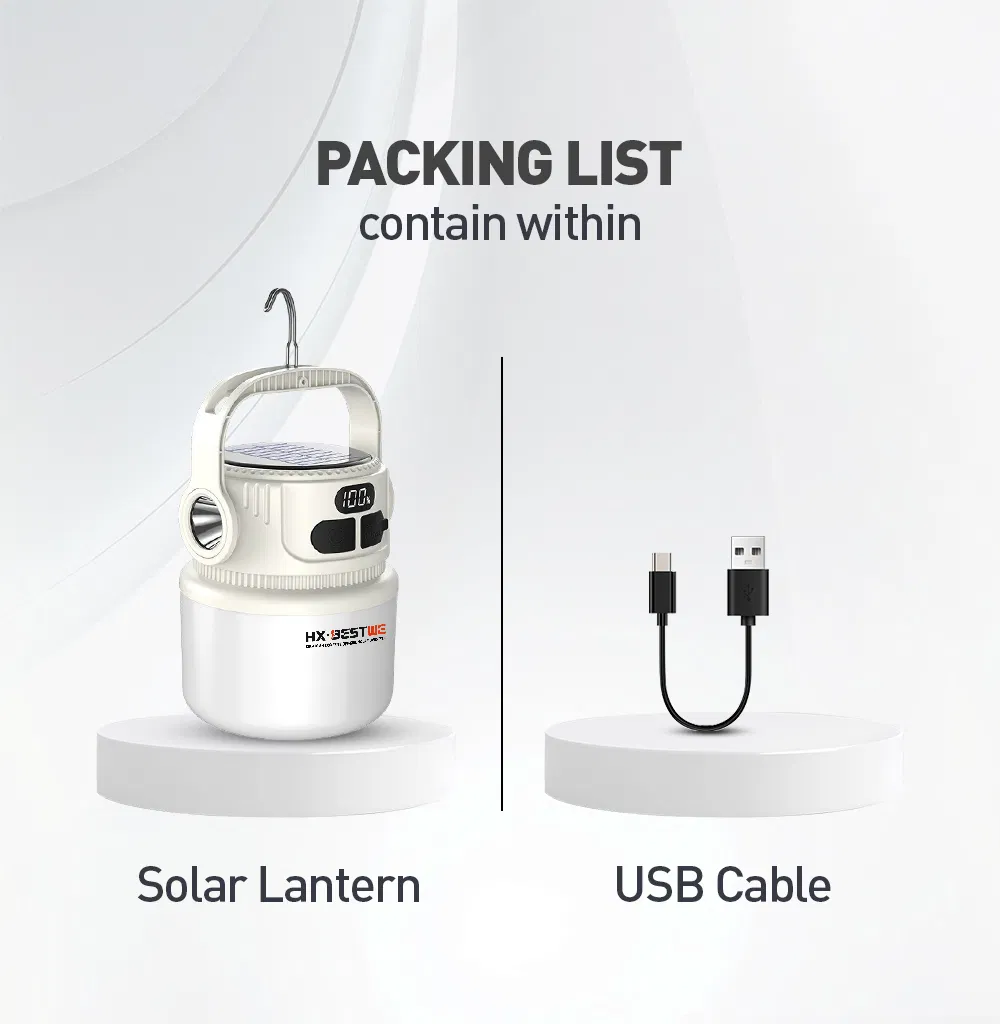 Solar Lantern 10