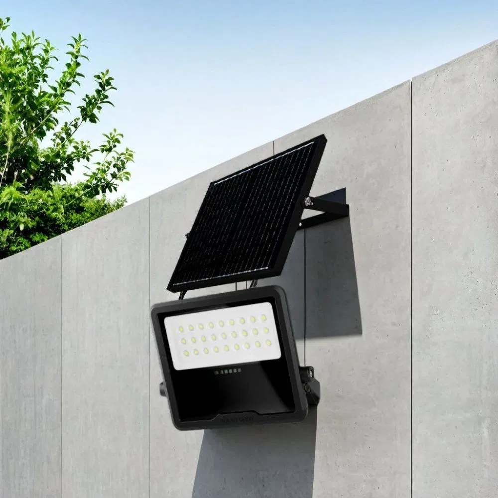 New Products Portable LED Floodlight Explosion Proof Energy Outdoor Wall Street Decorative Garden Solar Light for Home Use